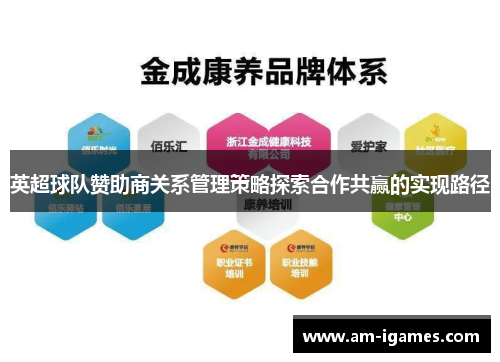 英超球队赞助商关系管理策略探索合作共赢的实现路径 英超球队赞助商关系管理策略探索合作共赢的实现路径