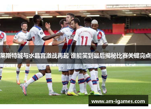 莱斯特城与水晶宫激战再起 谁能笑到最后揭秘比赛关键亮点