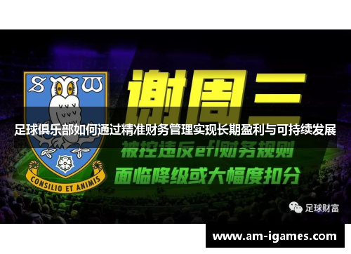 足球俱乐部如何通过精准财务管理实现长期盈利与可持续发展 足球俱乐部如何通过精准财务管理实现长期盈利与可持续发展