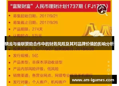 骁龙与曼联赞助合作中的财务风险及其对品牌价值的影响分析