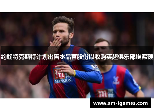 约翰特克斯特计划出售水晶宫股份以收购英超俱乐部埃弗顿