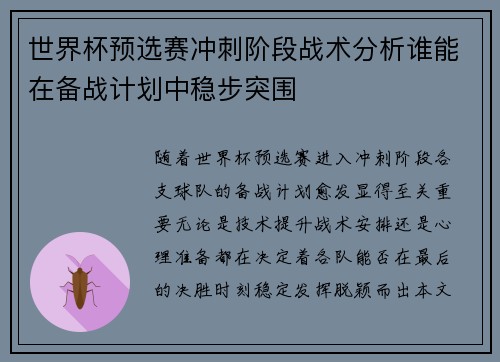 世界杯预选赛冲刺阶段战术分析谁能在备战计划中稳步突围